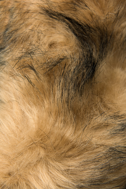 Biała kurtka na sezon jesień/zima