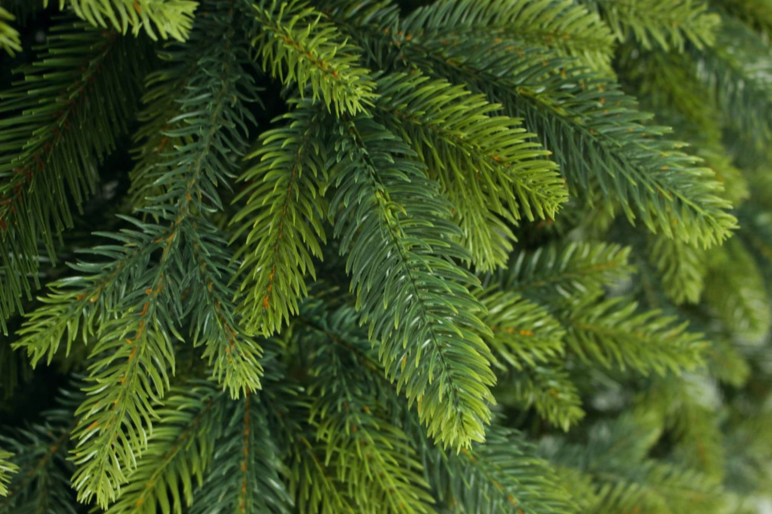 Choinka sztuczna Świerk Tajga 100% PE 250 cm