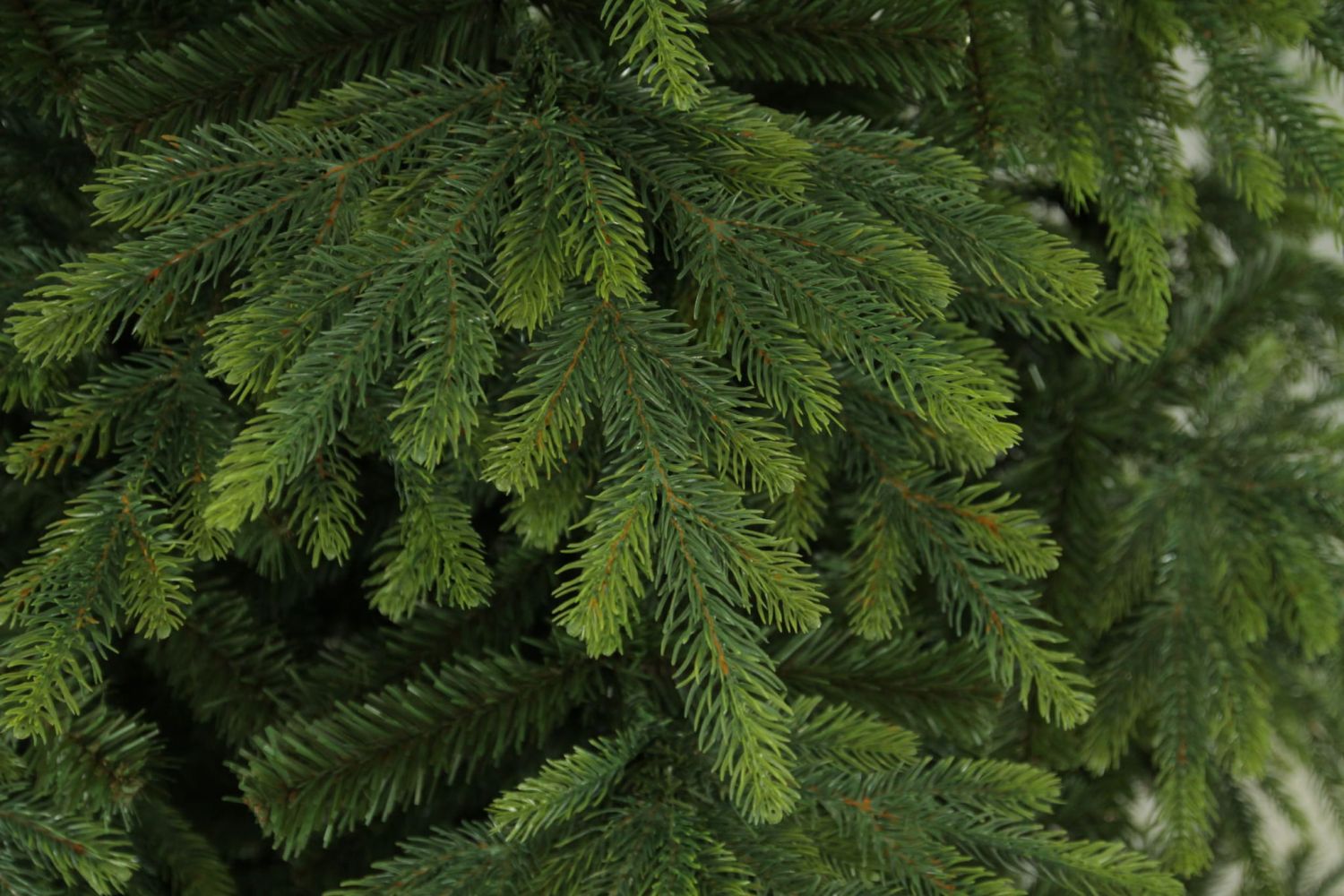 Choinka sztuczna Świerk Natura PE + PVC 250 cm