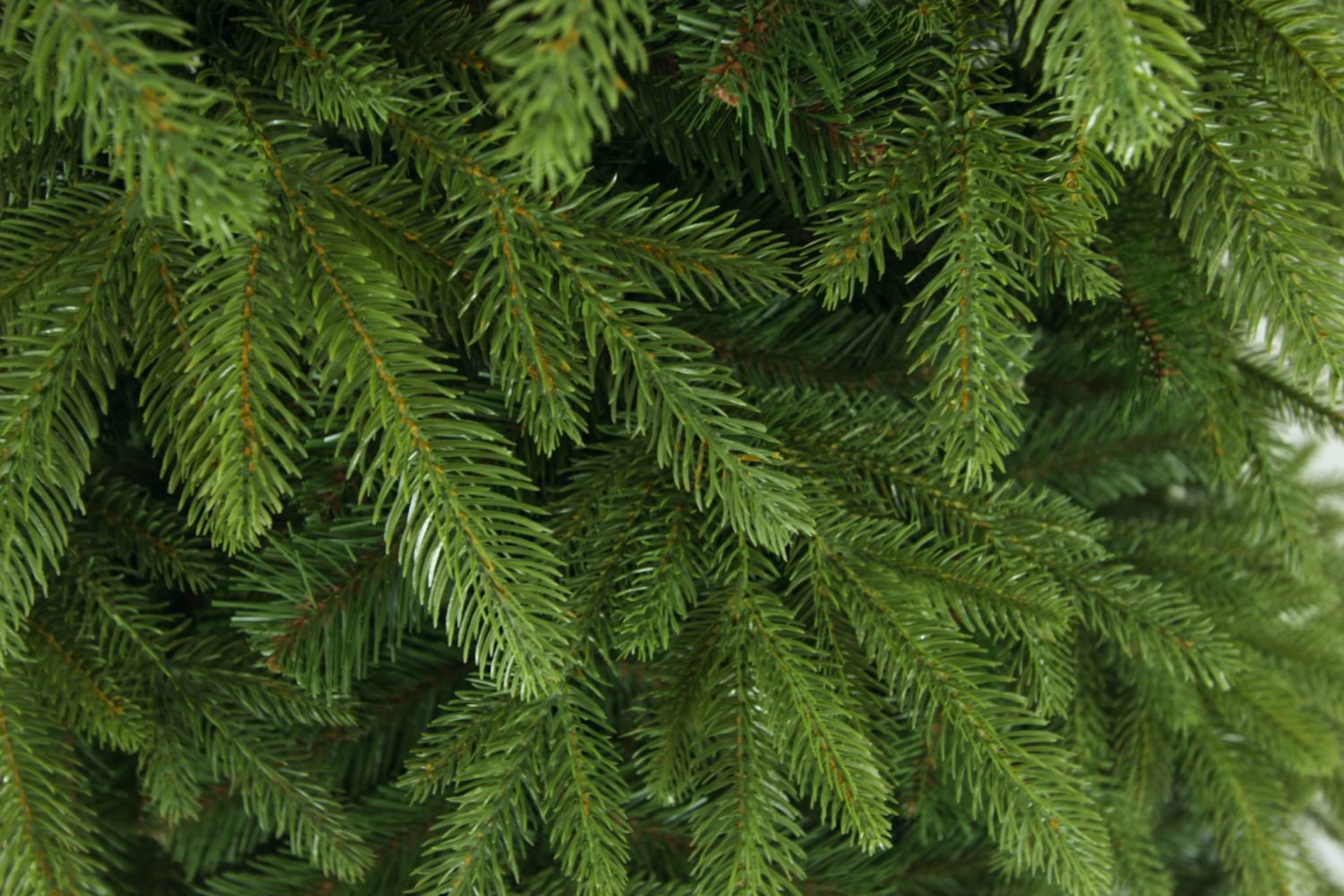 Choinka sztuczna Świerk Naturalny PE + PVC 180 cm