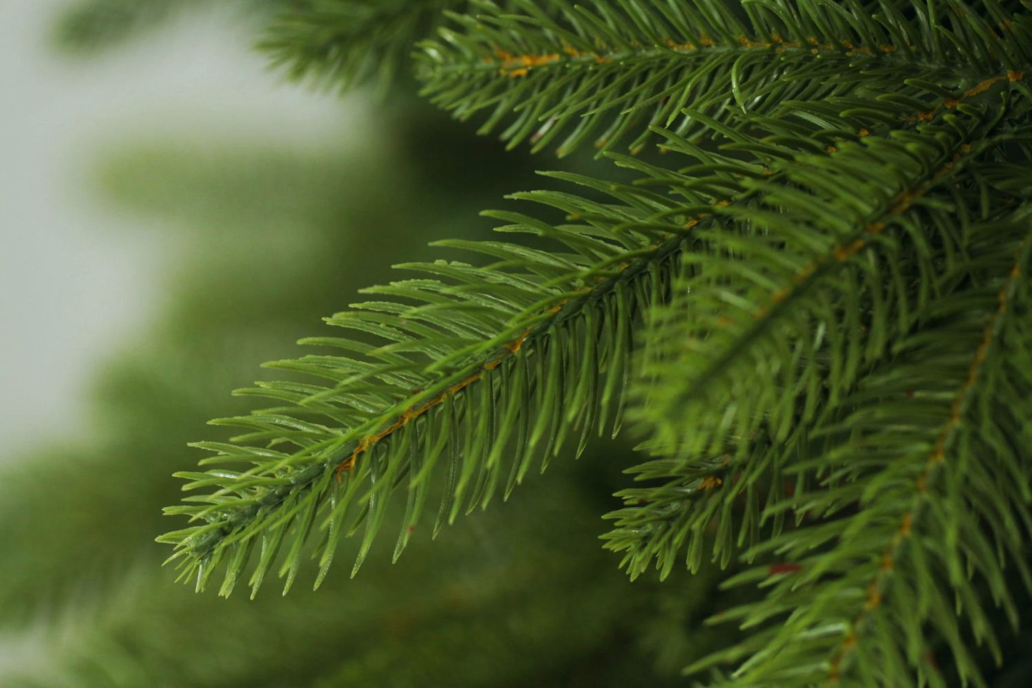 Choinka sztuczna Świerk Naturalny PE + PVC 250 cm