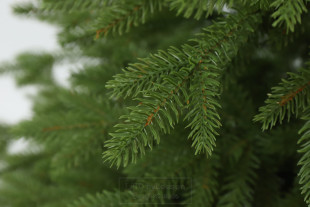 Choinka sztuczna Świerk Naturalny 100% PE 250 cm